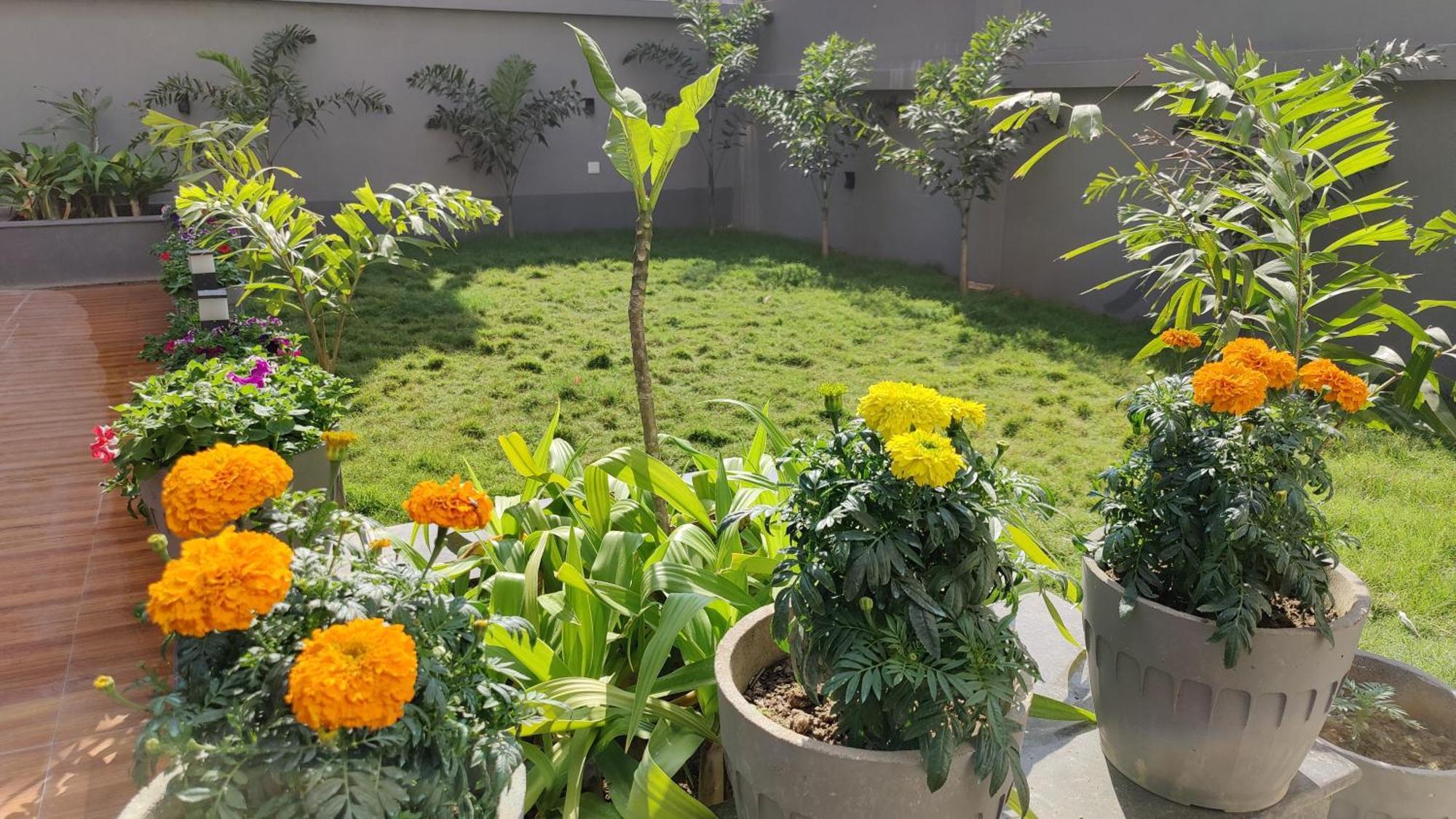 Hotel Ridley International Digha  Luaran gambar